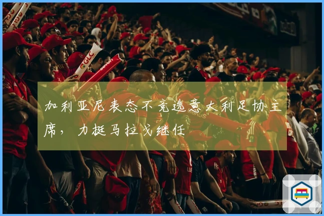加利亚尼表态不竞选意大利足协主席，力挺马拉戈继任