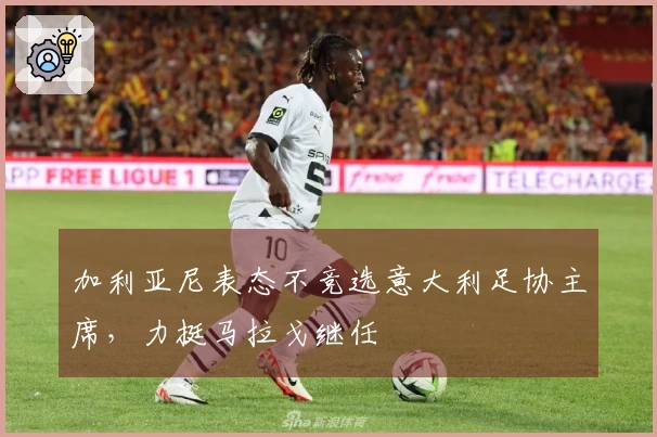 加利亚尼表态不竞选意大利足协主席，力挺马拉戈继任